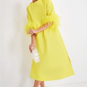 Citron Feather Jamie Dress by Tuckernuck size L
